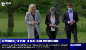 Éric Zemmour et Marine Le Pen: la rencontre impossible ?