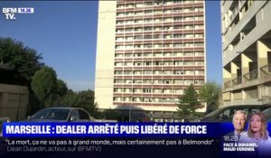 À Marseille, les forces de l'ordre violemment prises à partie lors de l'interpellation d'un dealer qui a pris la fuite
