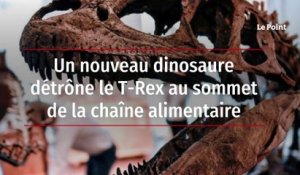 Un nouveau dinosaure détrône le T-Rex au sommet de la chaîne alimentaire