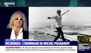 "Le public ne se trompe jamais": le chanteur Michel Polnareff rend hommage à Jean-Paul Belmondo