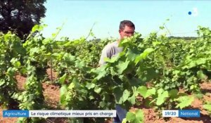 Agriculture : face aux aléas climatiques, Emmanuel Macron annonce une assurance récolte