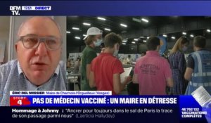 Vaccination obligatoire: ce maire des Vosges craint une "déperdition de soins" après la suspension du médecin du village
