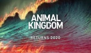 Animal Kingdom - Promo 5x13