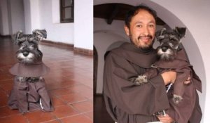 Bolivie : des moines adoptent un chien errant et en font la mascotte de leur monastère
