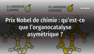 Prix Nobel de chimie : qu’est-ce que l’organocatalyse asymétrique ?