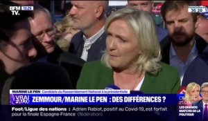 LA VÉRIF – Quelles sont les différences entre Marine Le Pen et Éric Zemmour ?