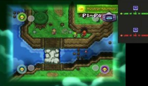 The Legend of Zelda: Four Swords Adventures online multiplayer - ngc
