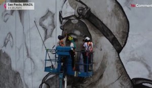 Un artiste réalise une immense fresque à partir de cendres de la forêt amazonienne