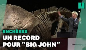 Le squelette de "Big John" vendu à 6,6 millions d'euros bat un record