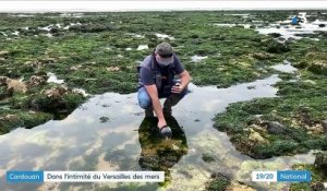 Gironde :  en immersion dans le phare de Cordouan, le Versailles des mers