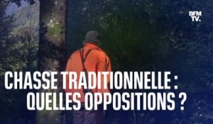 Chasse traditionnelle des oiseaux: quelles positions s’opposent ?