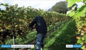 Angleterre : le vin pétillant gagne en popularité