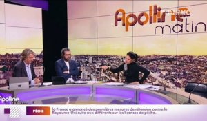 Nicolas Poincaré : Les projets terroristes du complotiste Rémy Daillet - 28/10