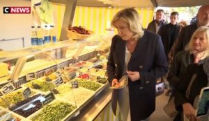 Marine Le Pen en campagne