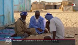 Mauritanie : les derniers pêcheurs à voile menacés par la pêche intensive