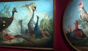 "Les animaux du roi", une exposition sur l'impressionnant bestiaire du château de Versailles