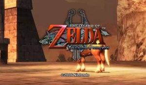 The Legend of Zelda : Twilight Princess online multiplayer - wii