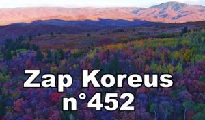 Zap Koreus n°452