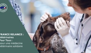 Vétérinaires Pour Tous :  une médecine vétérinaire solidaire