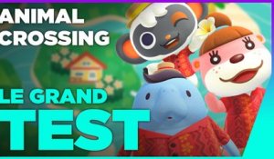 Le DLC de décoration indispensable | Animal Crossing Happy Home Paradise  TEST SWITCH