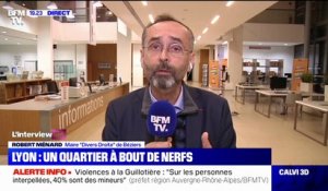 Insécurité à Lyon: Robert Ménard dénonce un manque "de place en prison"