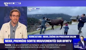 Bousculé par la vache Neige en direct sur BFMTV, le petit Noé se porte bien