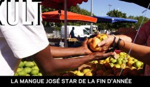 La mangue José star de la fin d’année