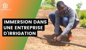 Burkina Faso : Immersion dans une entreprise d’irrigation