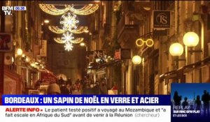 À  Bordeaux, pas "d'arbre mort" mais un sapin de Noël en verre et en acier de 11 mètres de haut