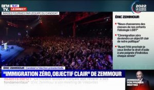 "Votre place est parmi nous": Éric Zemmour "tend la main aux électeurs des Républicains représentés par Éric Ciotti"