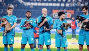 Russie : les joueurs du FC Zénith entrent sur la pelouse avec des chiens dans les bras