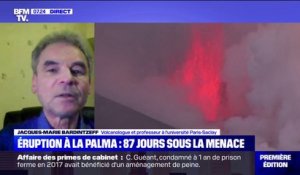 Éruption aux Canaries: "Le volcan a un comportement étonnant, il s'arrête puis repart (...) les signaux sismiques changent", explique ce volcanologue