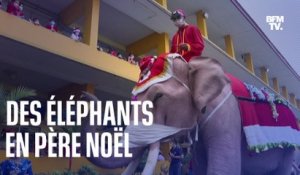 En Thaïlande, des éléphants déguisés en père Noël distribuent des cadeaux avec leur trompe