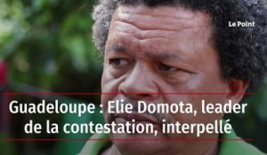 Guadeloupe : Elie Domota, leader de la contestation, interpellé