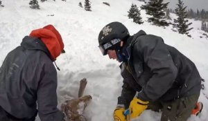 Colorado : deux étudiants sauvent un chien coincé sous une avalanche
