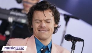 Harry Styles Fan SUES Venue Over Alleged Injuries!