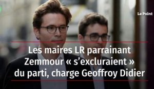 Les maires LR parrainant Zemmour « s’excluraient » du parti, charge Geoffroy Didier