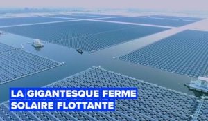 La plus grande ferme solaire flottante au monde