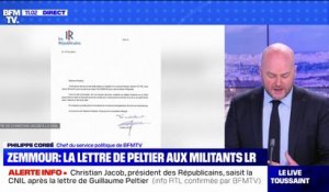 Présidentielle: dans une lettre, Guillaume Peltier encourage les adhérents LR à rejoindre Eric Zemmour
