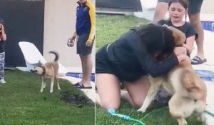 Perdu pendant 2 mois, ce chien a fait fondre en larmes sa famille en rentrant à la maison