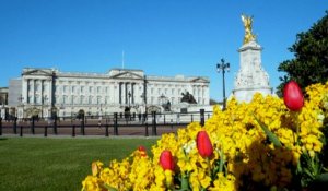 Fêtes la veille de funérailles royales : Downing Street s'excuse auprès de la reine Elizabeth II