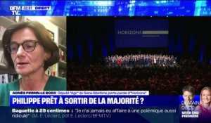 Agnès Firmin Le Bodo: "Le président de la République est intervenu dans une fusion de deux partis auxquels il n'appartient pas"