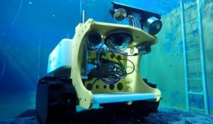 BathyBot, le robot qui va observer les abysses en Méditerranée