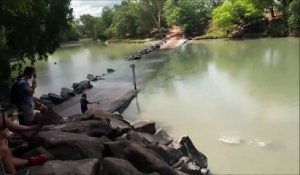 Un crocodile venu de nulle part vole la prise d'un pecheur