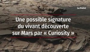 Une possible signature du vivant découverte sur Mars par « Curiosity »