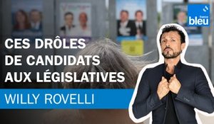 Ces drôles de candidats aux législatives - Le billet de Willy Rovelli