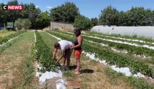 Des agriculteurs malmenés par leurs voisins