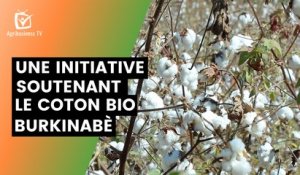 Documentaire : Une initiative locale soutenant le coton bio burkinabé