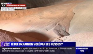 LA VÉRIF' - Les Russes volent-ils du blé et d'autres céréales en Ukraine ?