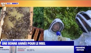 Pourquoi la récolte de miel s'annonce abondante cette année